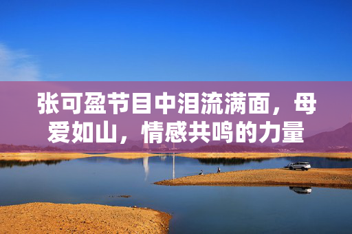 张可盈节目中泪流满面，母爱如山，情感共鸣的力量