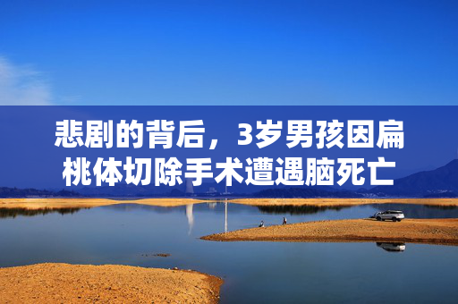 悲剧的背后，3岁男孩因扁桃体切除手术遭遇脑死亡