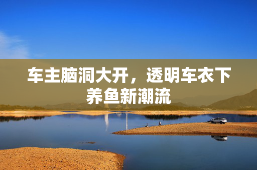 车主脑洞大开，透明车衣下养鱼新潮流
