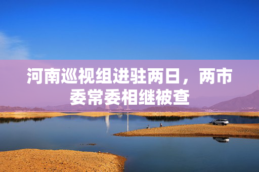 河南巡视组进驻两日，两市委常委相继被查