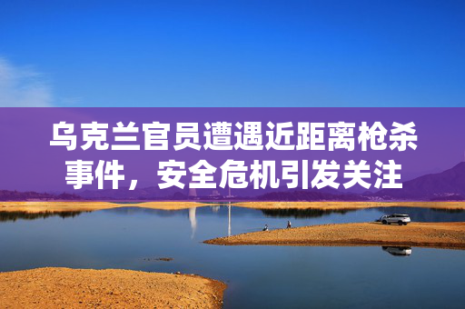 乌克兰官员遭遇近距离枪杀事件，安全危机引发关注