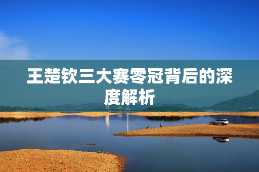 王楚钦三大赛零冠背后的深度解析