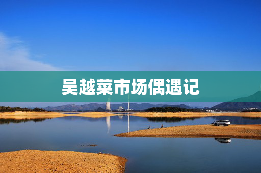 吴越菜市场偶遇记