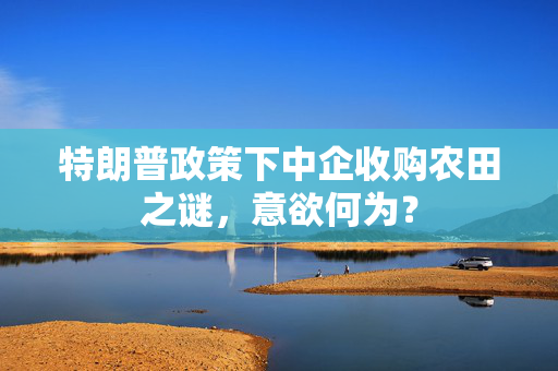 特朗普政策下中企收购农田之谜，意欲何为？