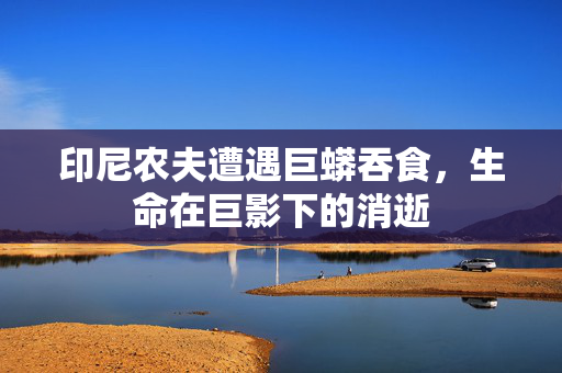印尼农夫遭遇巨蟒吞食，生命在巨影下的消逝
