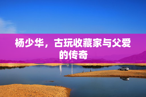 杨少华，古玩收藏家与父爱的传奇