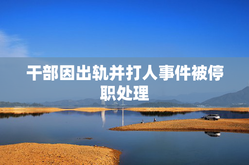 干部因出轨并打人事件被停职处理