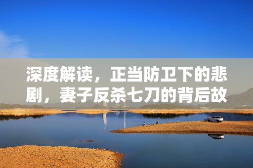 深度解读，正当防卫下的悲剧，妻子反杀七刀的背后故事