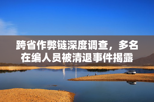 跨省作弊链深度调查，多名在编人员被清退事件揭露