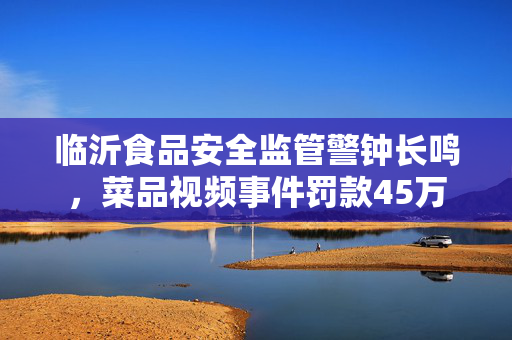 临沂食品安全监管警钟长鸣，菜品视频事件罚款45万