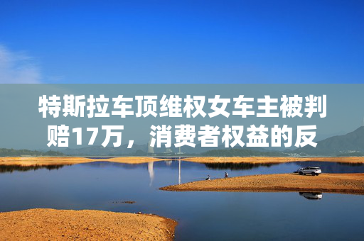 特斯拉车顶维权女车主被判赔17万，消费者权益的反思与探讨