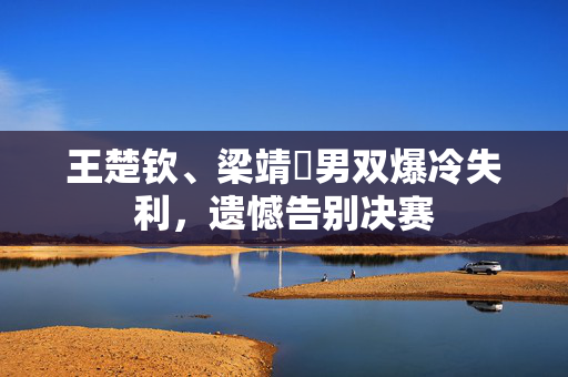 王楚钦、梁靖崑男双爆冷失利，遗憾告别决赛