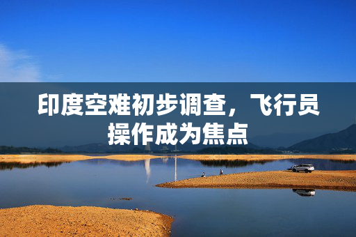 印度空难初步调查，飞行员操作成为焦点