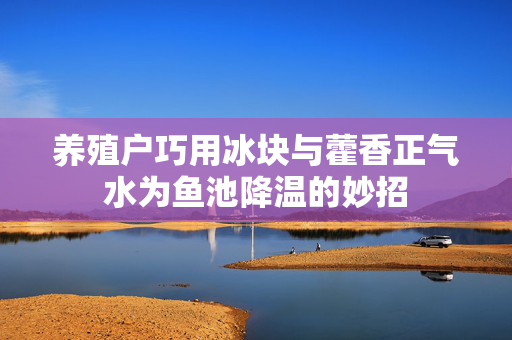 养殖户巧用冰块与藿香正气水为鱼池降温的妙招