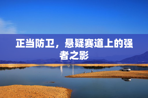 正当防卫，悬疑赛道上的强者之影
