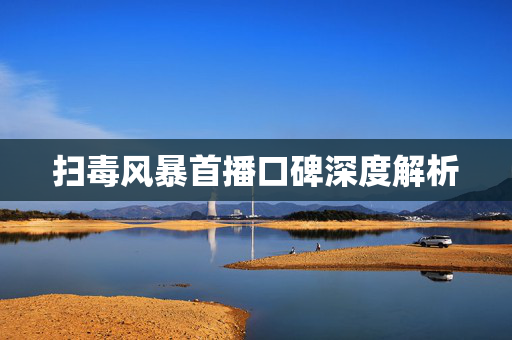 扫毒风暴首播口碑深度解析