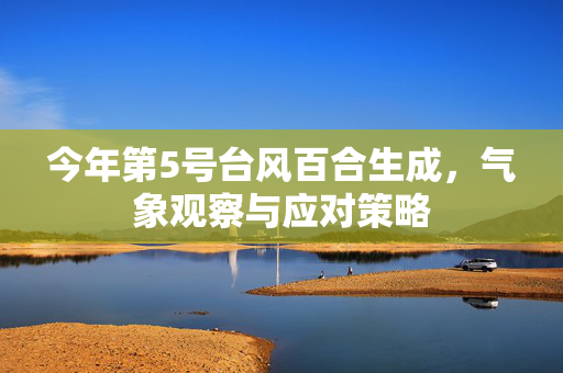 今年第5号台风百合生成，气象观察与应对策略