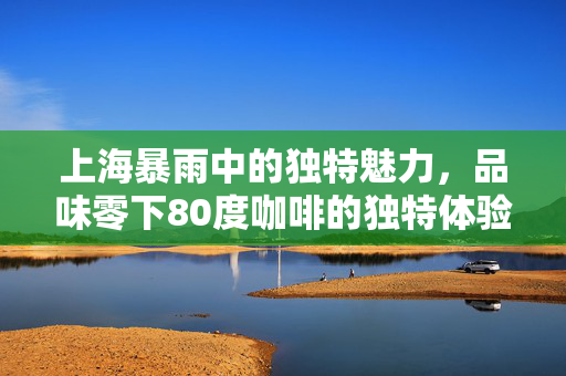 上海暴雨中的独特魅力，品味零下80度咖啡的独特体验