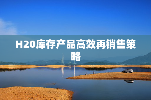 H20库存产品高效再销售策略