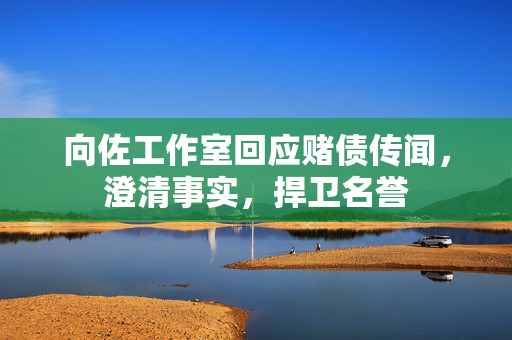 向佐工作室回应赌债传闻，澄清事实，捍卫名誉