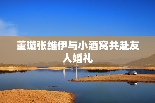 董璇张维伊与小酒窝共赴友人婚礼