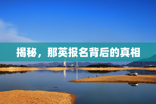 揭秘，那英报名背后的真相