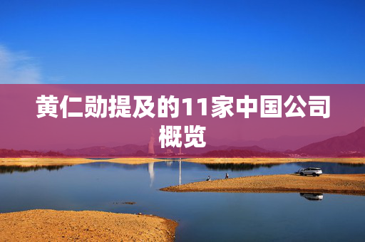 黄仁勋提及的11家中国公司概览
