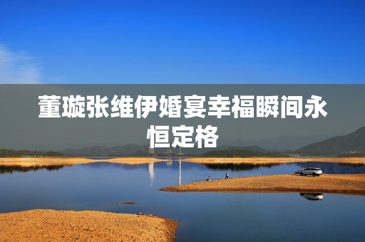 董璇张维伊婚宴幸福瞬间永恒定格