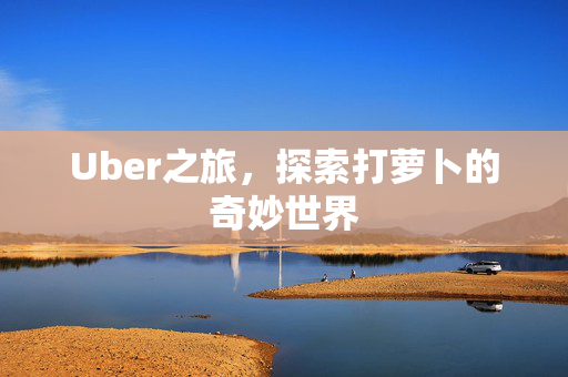 Uber之旅，探索打萝卜的奇妙世界