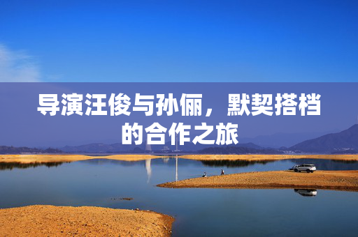 导演汪俊与孙俪，默契搭档的合作之旅