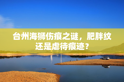 台州海狮伤痕之谜，肥胖纹还是虐待痕迹？