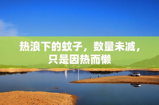 热浪下的蚊子，数量未减，只是因热而懒