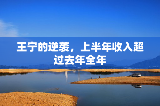 王宁的逆袭，上半年收入超过去年全年