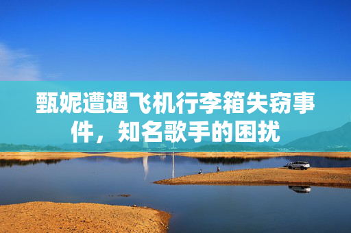 甄妮遭遇飞机行李箱失窃事件，知名歌手的困扰