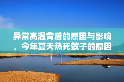 异常高温背后的原因与影响，今年夏天热死蚊子的原因解析