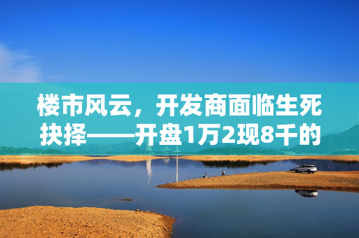 楼市风云，开发商面临生死抉择——开盘1万2现8千的背后