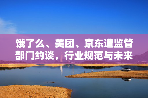 饿了么、美团、京东遭监管部门约谈，行业规范与未来展望
