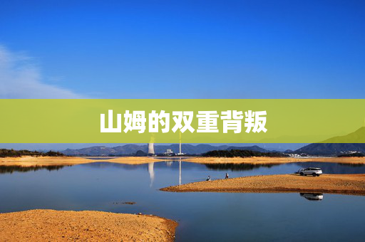 山姆的双重背叛