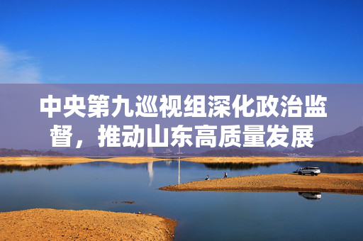 中央第九巡视组深化政治监督，推动山东高质量发展