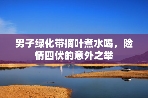 男子绿化带摘叶煮水喝，险情四伏的意外之举
