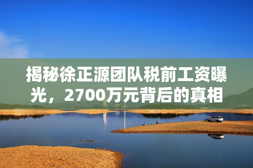 揭秘徐正源团队税前工资曝光，2700万元背后的真相