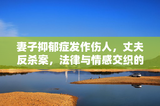 妻子抑郁症发作伤人，丈夫反杀案，法律与情感交织的思考