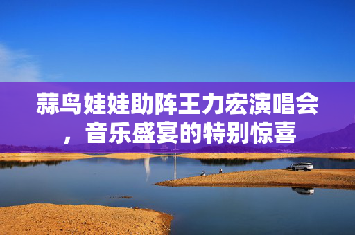 蒜鸟娃娃助阵王力宏演唱会，音乐盛宴的特别惊喜