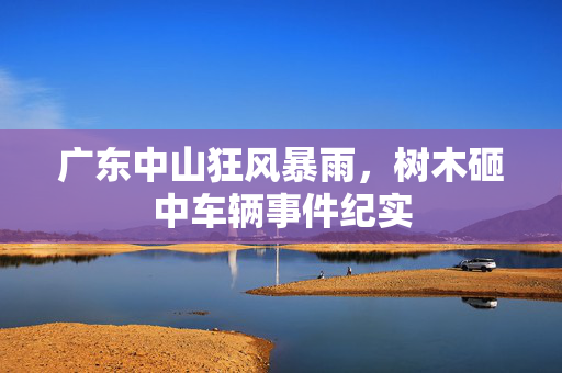 广东中山狂风暴雨，树木砸中车辆事件纪实