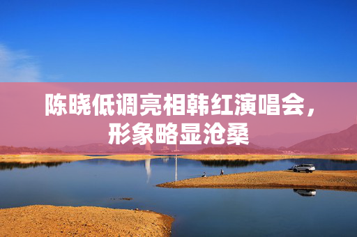 陈晓低调亮相韩红演唱会，形象略显沧桑