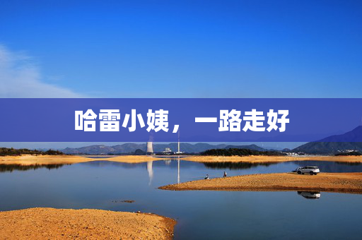 哈雷小姨，一路走好