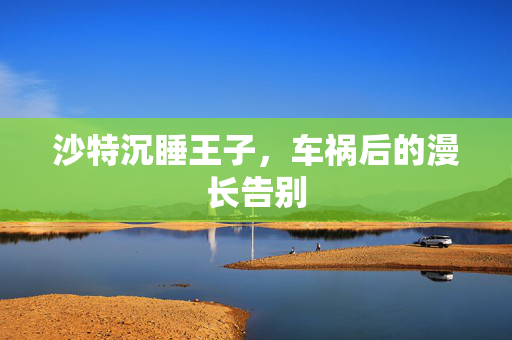 沙特沉睡王子，车祸后的漫长告别