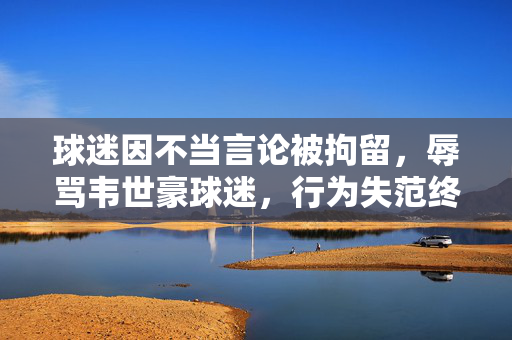 球迷因不当言论被拘留，辱骂韦世豪球迷，行为失范终受罚的案例