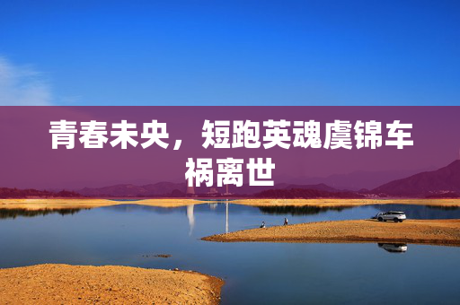 青春未央，短跑英魂虞锦车祸离世