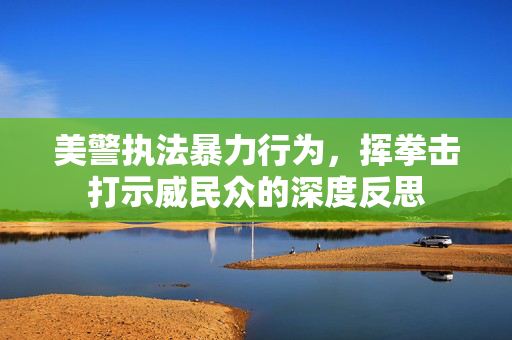 美警执法暴力行为，挥拳击打示威民众的深度反思